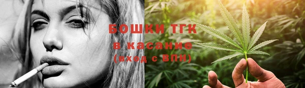 тгк Алзамай