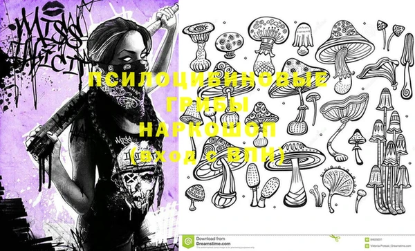 бошки Абдулино