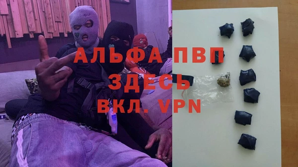 тгк Алзамай