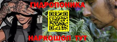 тгк Шахты