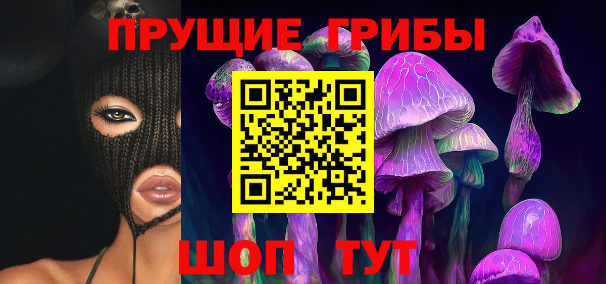 Галлюциногенные грибы мухоморы  Псилоцибиновые грибы Psilocybe  Вход с VPN  Новокузнецк 